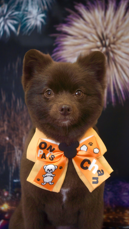 にこちゃん