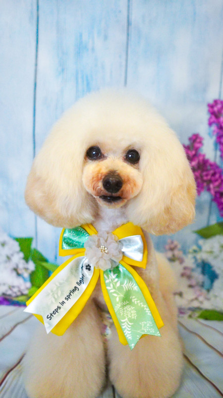 マリーちゃん