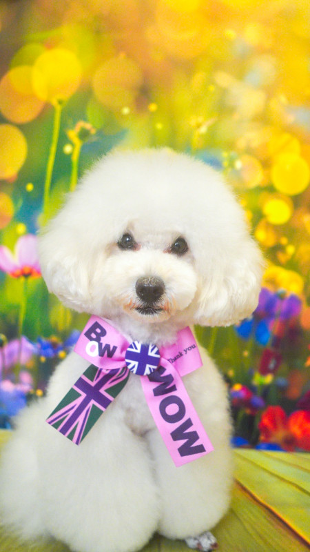 カブルくん