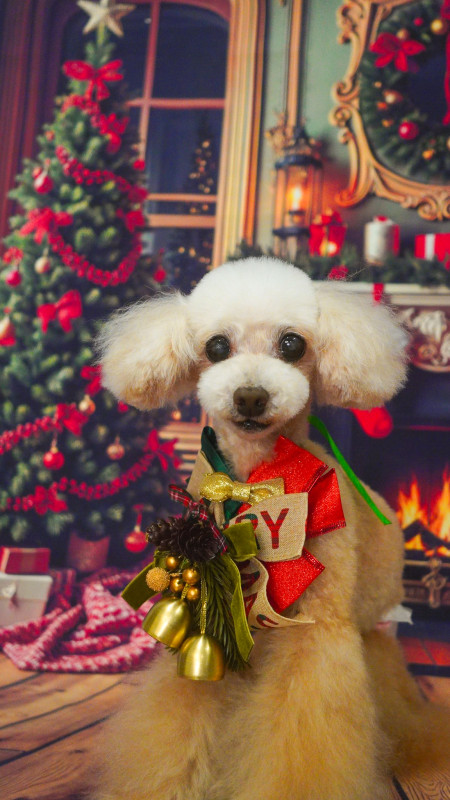 アムールちゃん