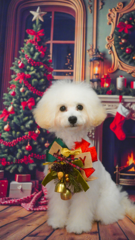 プティーちゃん