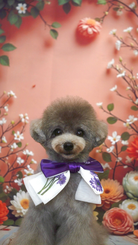 ぱるくん