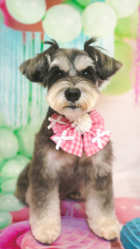 JiJiちゃん