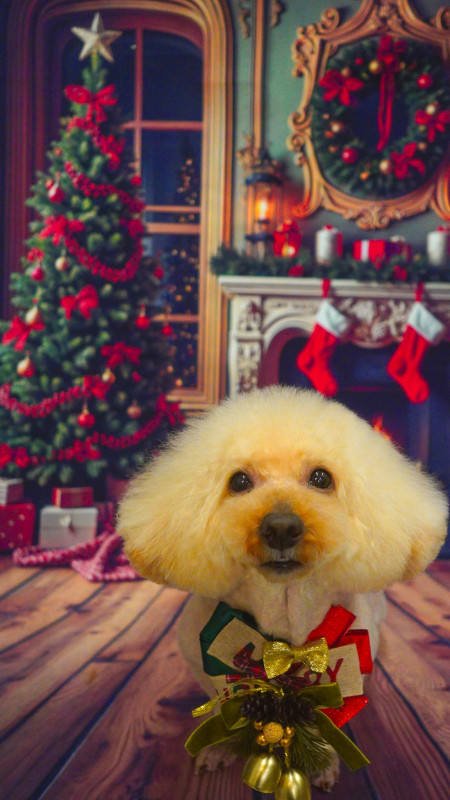 アンジーちゃん