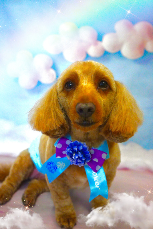 ローランドくん