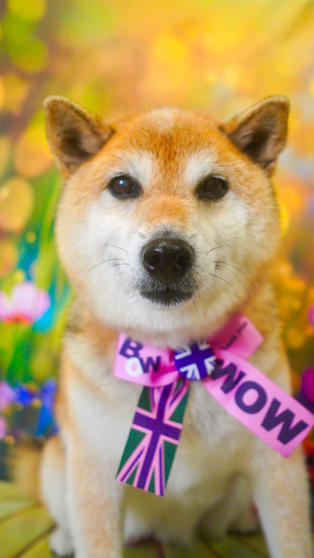凛ちゃん