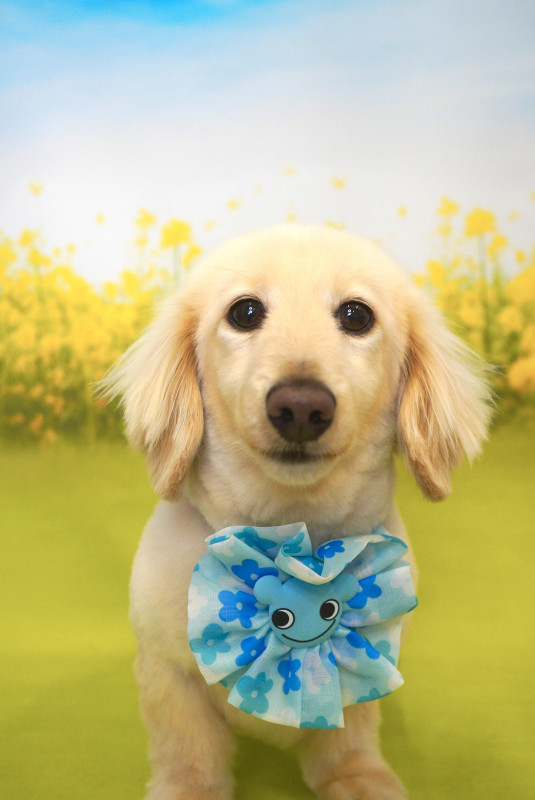 スリンキーくん