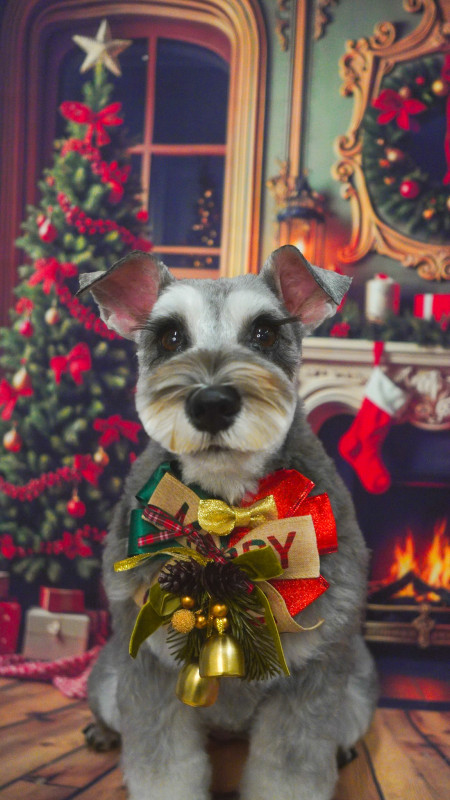 シナモンちゃん