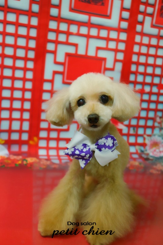 アムールちゃん