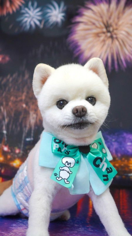 Chanceくん