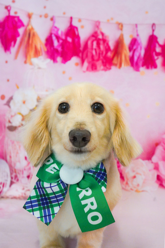 スリンキーくん